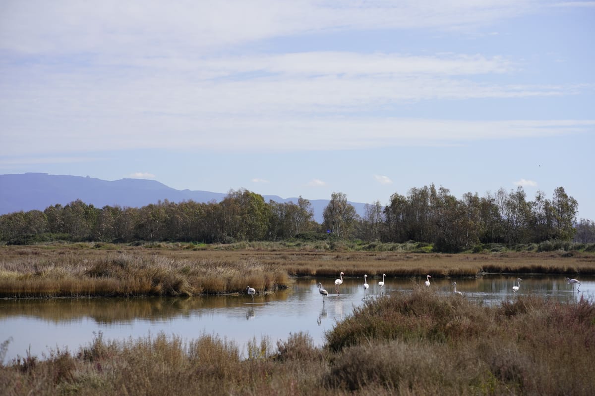 🌱 #1 Quelle terre di mezzo dove ogni cosa è possibile