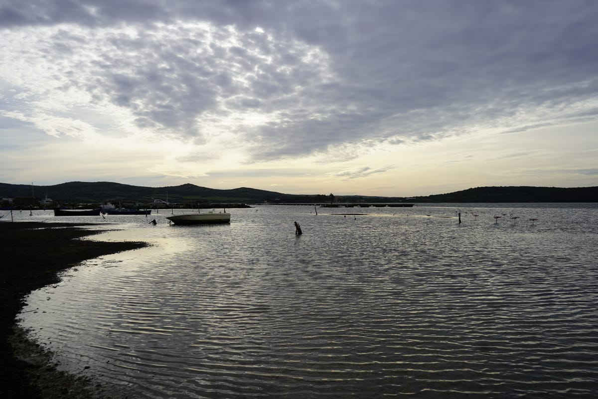 🌱 #2 Un database collaborativo sulle zone umide