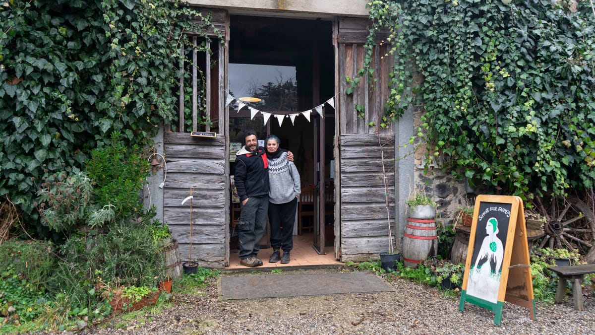 🌱 #4 L’agricoltura intensiva che minaccia le zone umide