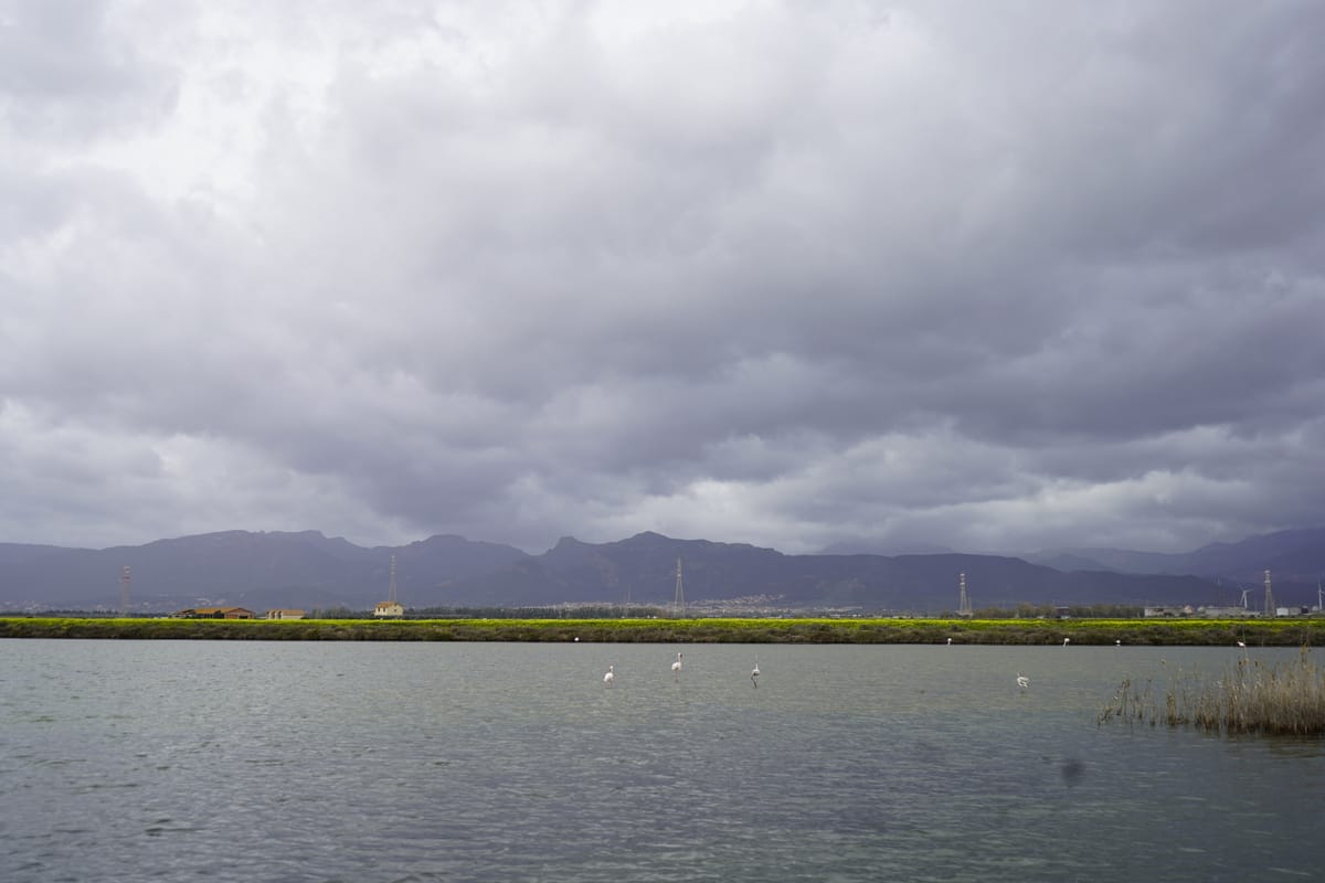 🌱 #5 Conti Vecchi, l’oro bianco delle saline alle porte di Cagliari