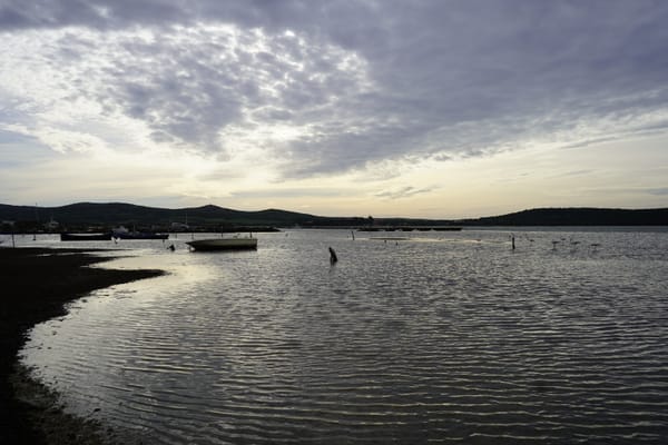 🌱 #2 Un database collaborativo sulle zone umide