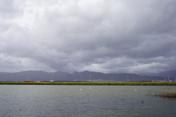 🌱 #5 Conti Vecchi, l’oro bianco delle saline alle porte di Cagliari